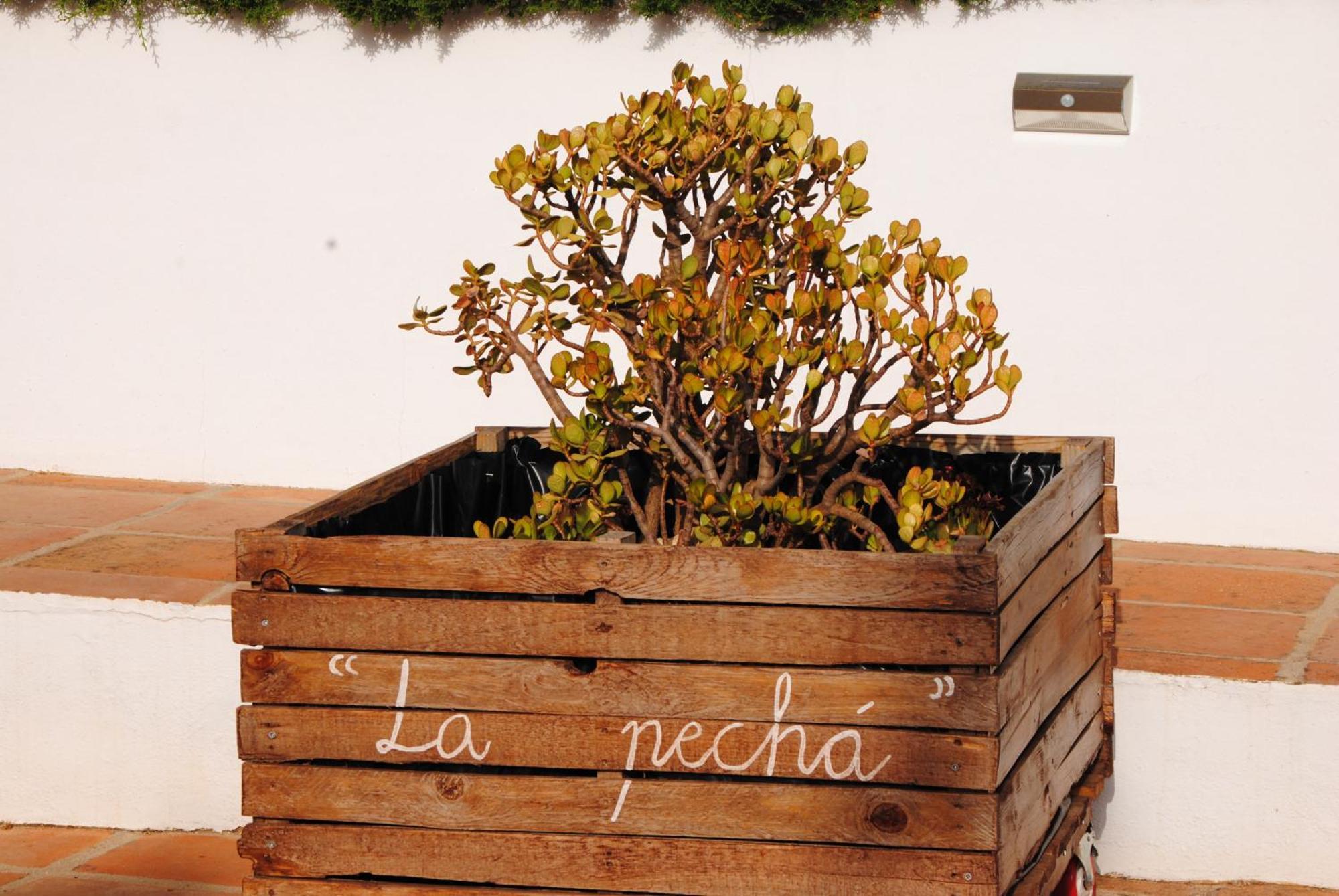 Villa Casa La Pecha, Ronda Exterior foto